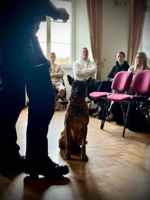 Inauguracja serii spotkań z uczniami klas maturalnych