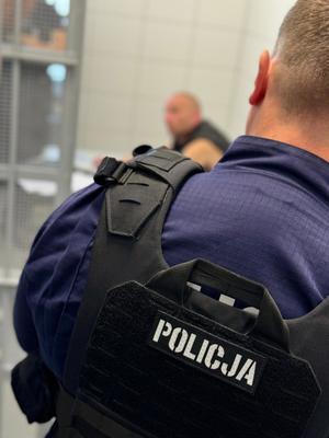 Obraz przedstawia funkcjonariuszy Policji oraz Straży Granicznej