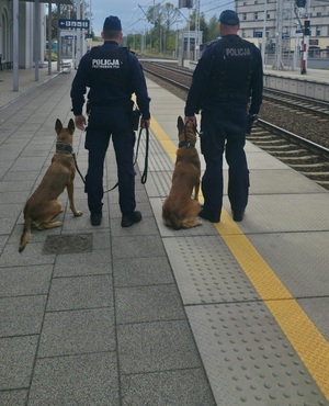 zdjęcie: krapkowiccy policjanci podczas działań